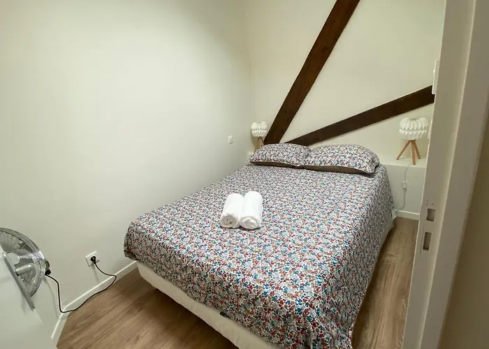 Albiappart Hyper Centre Albi